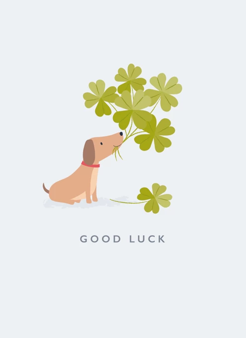 Good luck Dog