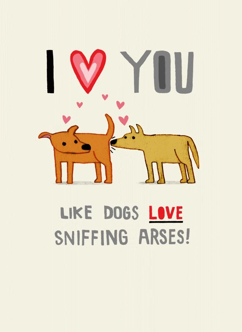 Love You Like Dogs