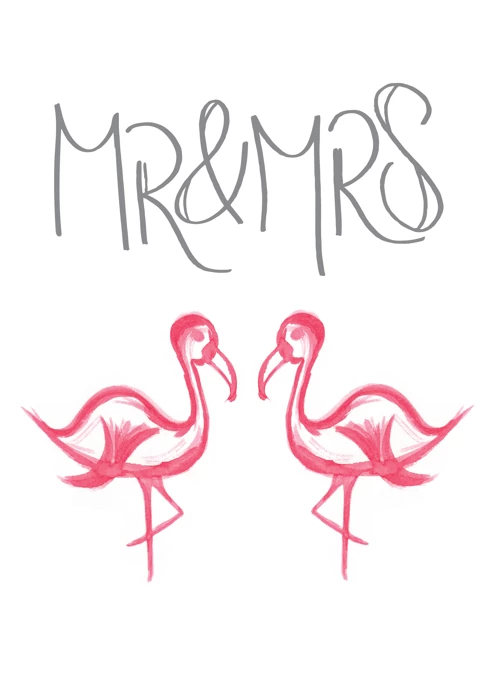 Mr & Mrs Flamingo 