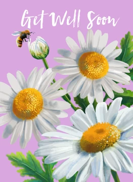 Get Well Daisies Card
