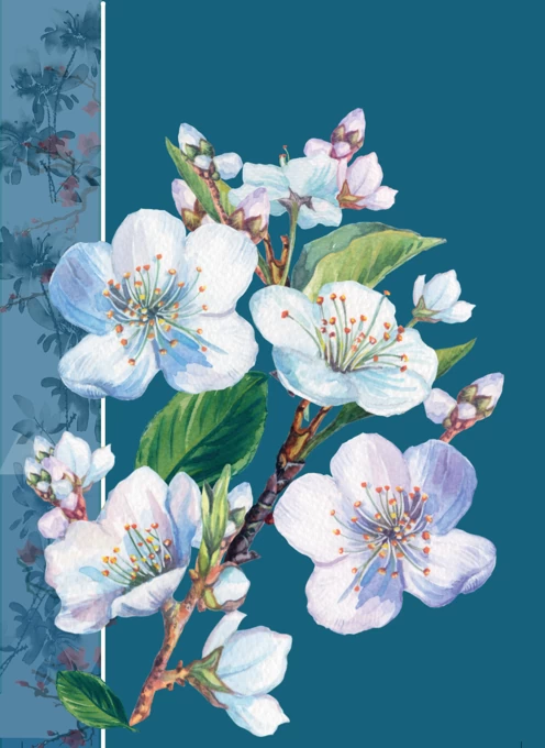 White Blossom Floral Decorative Card