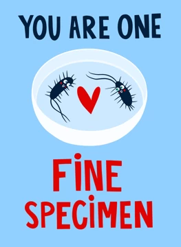 Fine Specimen