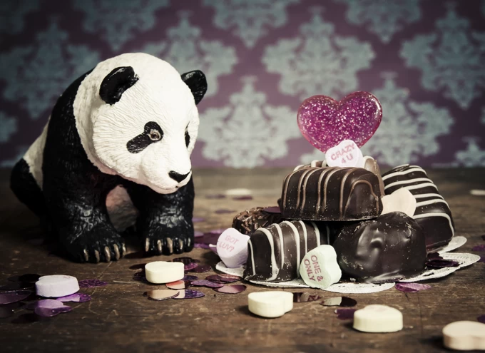 Panda Chocolate