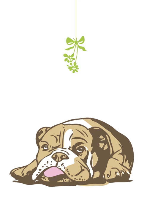 Bulldog Mistletoe