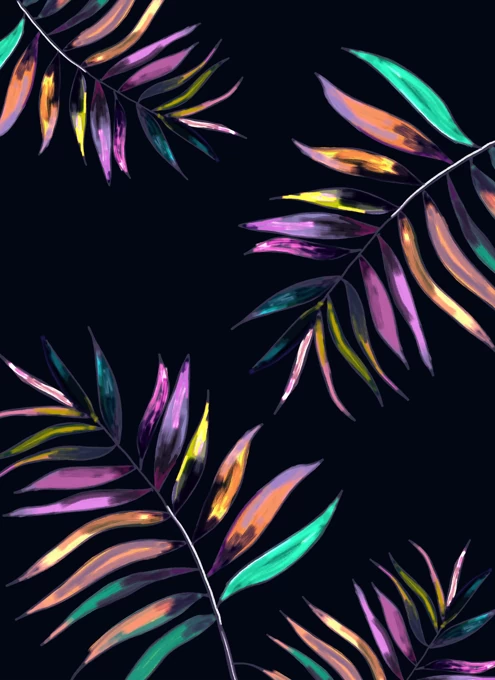 Disco Ferns
