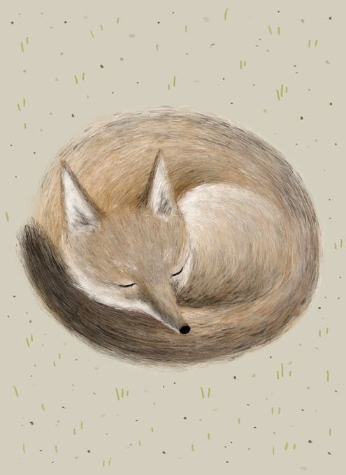 Swift Fox Sleeping