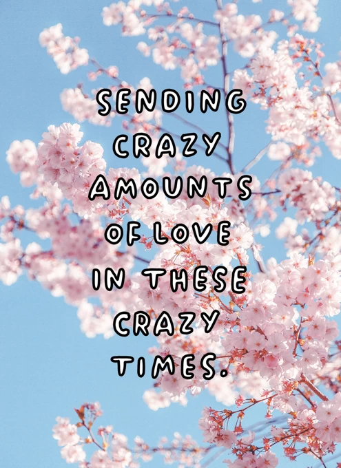 Crazy Amounts Of Love