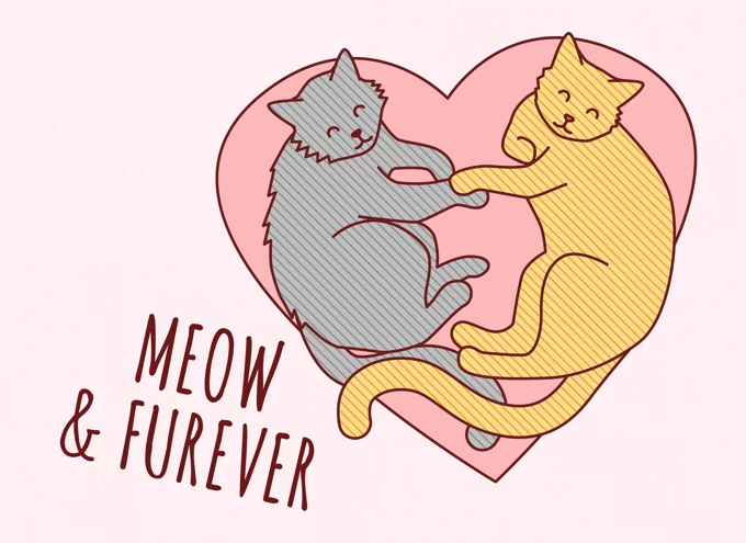 Meow & Forever