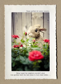 Rabbit Roses