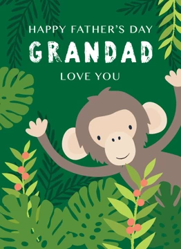 Grandad Chimp