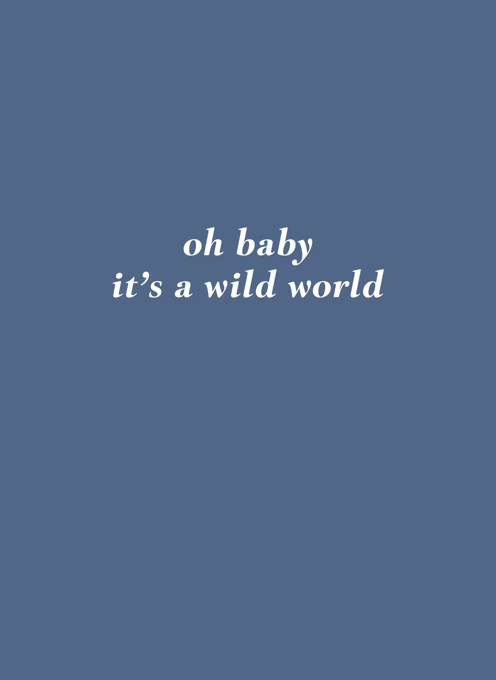 Oh Baby It's A Wild World