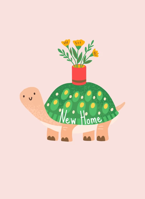 New Home Turtle