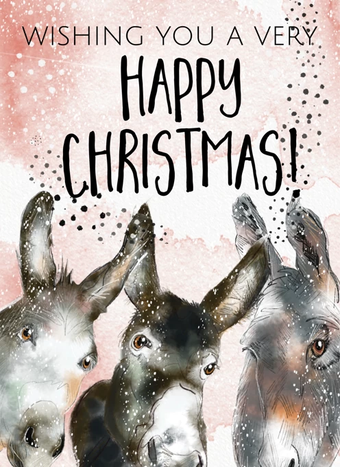 Wishing you a Merry Christmas with Donkeys