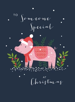 Someone Special Christmas Piggy