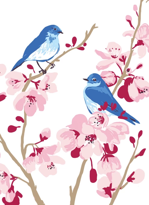 Bluebird And Cherry Blossom