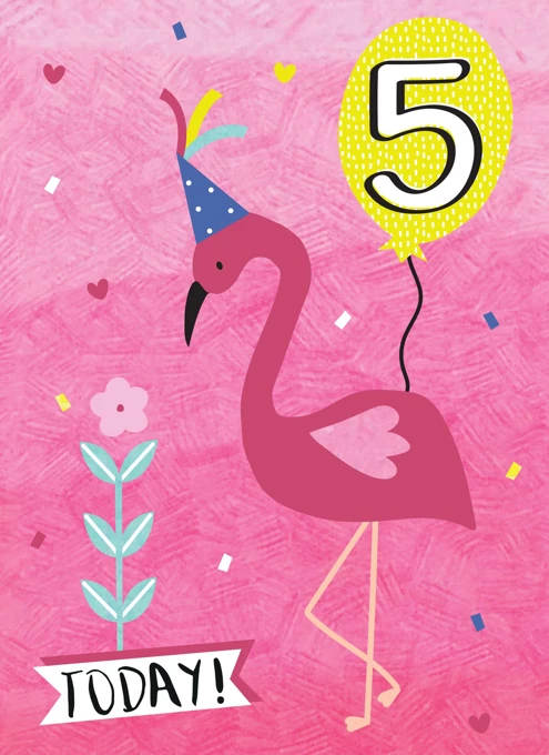 Five Today Flamingo
