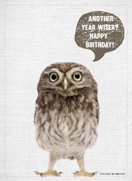 Birthday Owl