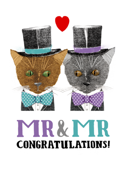 Mr & Mr Cats Marriage