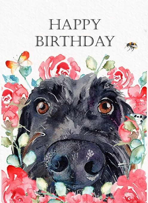 Scruffy Black Dog Birthday Card