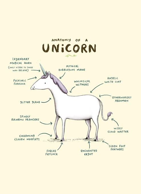 Anatomy Of A Unicorn