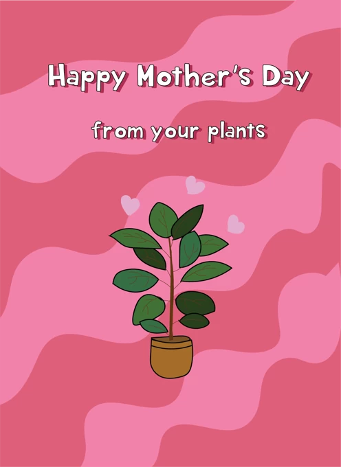 Happy Mother's Day From Your Plants