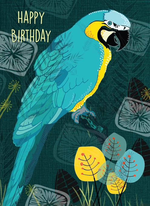 Macaw Birthday Card
